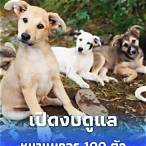 2 ตัวบาทละเท่าไหร่